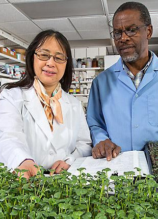 USDA food technologist Yaguang Luo conducting food safety research in the Food Quality Laboratory in Beltsville, Maryland, representing food science, technology, and industrial research.
