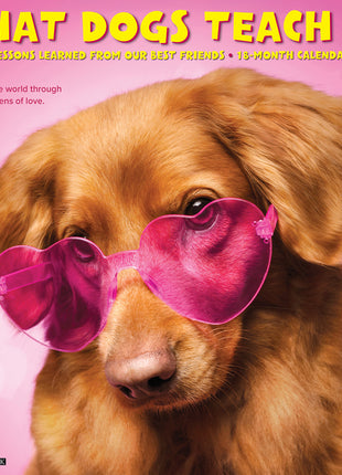 The Pawfect Package