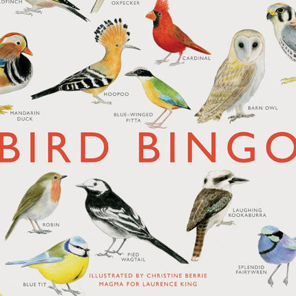 Bird Bingo - Ingram