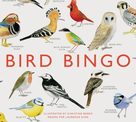 Bird Bingo - Ingram