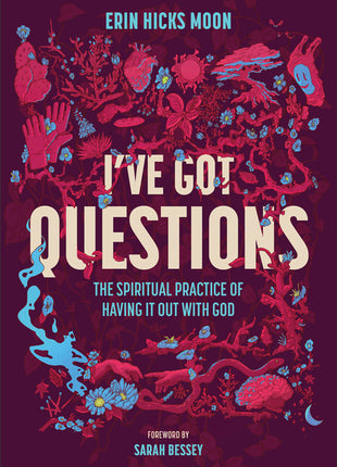 I've Got Questions: The Spiritual Practice of Having It Out with God - Ingram