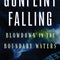 Gunflint Falling: Blowdown in the Boundary Waters - Ingram