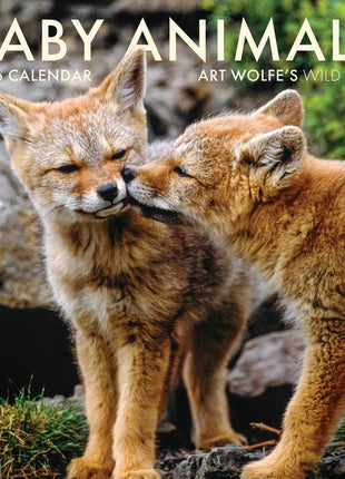 2026 Baby Animals Wall Calendar: Art Wolfe's Wild Lives - Ingram