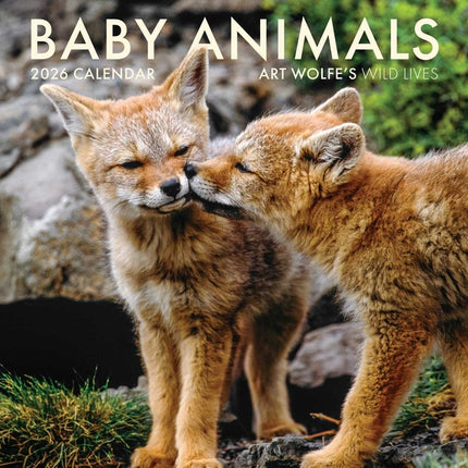 2026 Baby Animals Wall Calendar: Art Wolfe's Wild Lives - Ingram