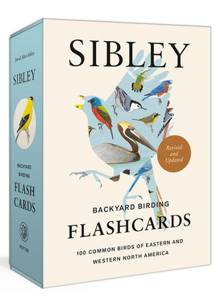 Sibley Backyard Birding Flashcards, Revised and Updated: 100 Common Birds of Eastern and Western North America - Ingram