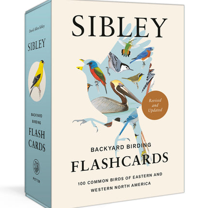 Sibley Backyard Birding Flashcards, Revised and Updated: 100 Common Birds of Eastern and Western North America - Ingram