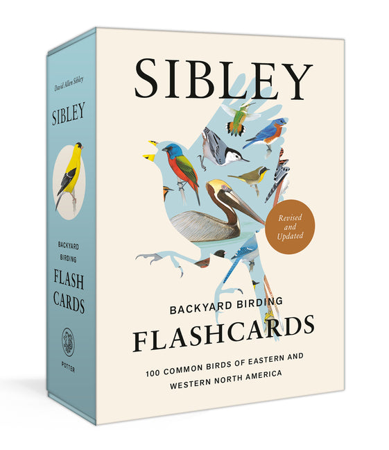 Sibley Backyard Birding Flashcards, Revised and Updated: 100 Common Birds of Eastern and Western North America - Ingram