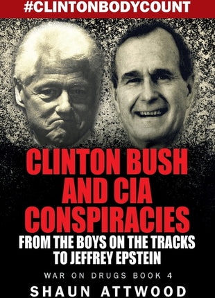 Clinton Bush and CIA Conspiracies: From The Boys on the Tracks to Jeffrey Epstein - Ingram