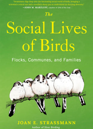 Social Lives of Birds: Flocks, Communes, and Families - Ingram