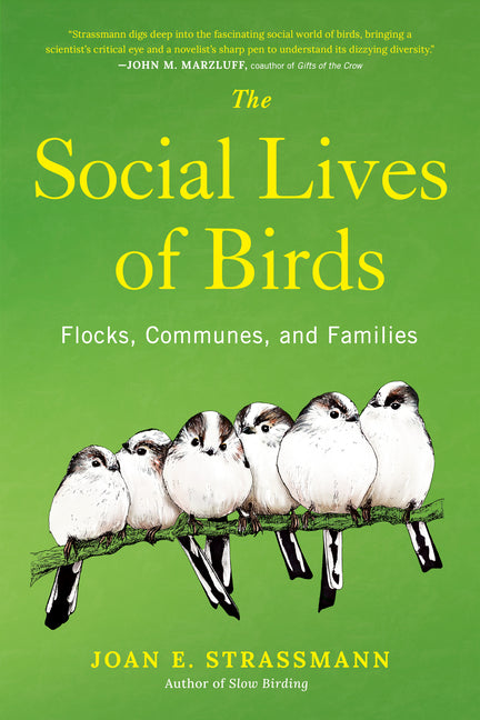 Social Lives of Birds: Flocks, Communes, and Families - Ingram