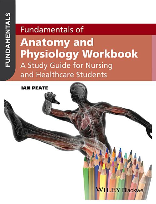 Fundamentals of Anatomy and Physiology Workbook: A Study Guide for Nurses and Healthcare Students - Ingram