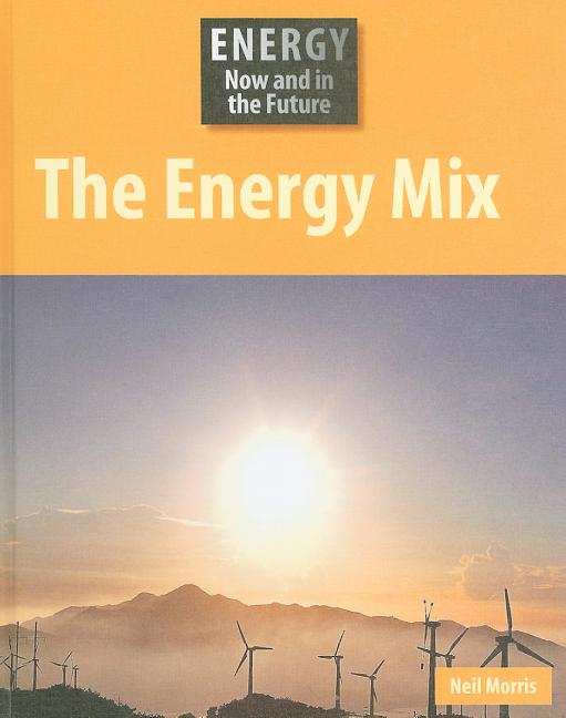 Energy Mix - Ingram