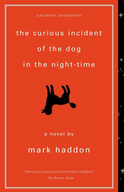 Curious Incident of the Dog in the Night-Time - Ingram