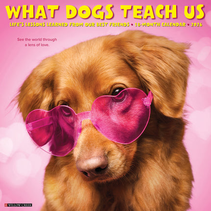 What Dogs Teach Us 2026 Wall Calendar - Ingram