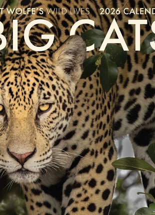 2026 Big Cats Wall Calendar: Art Wolfe's Wild Lives - Ingram