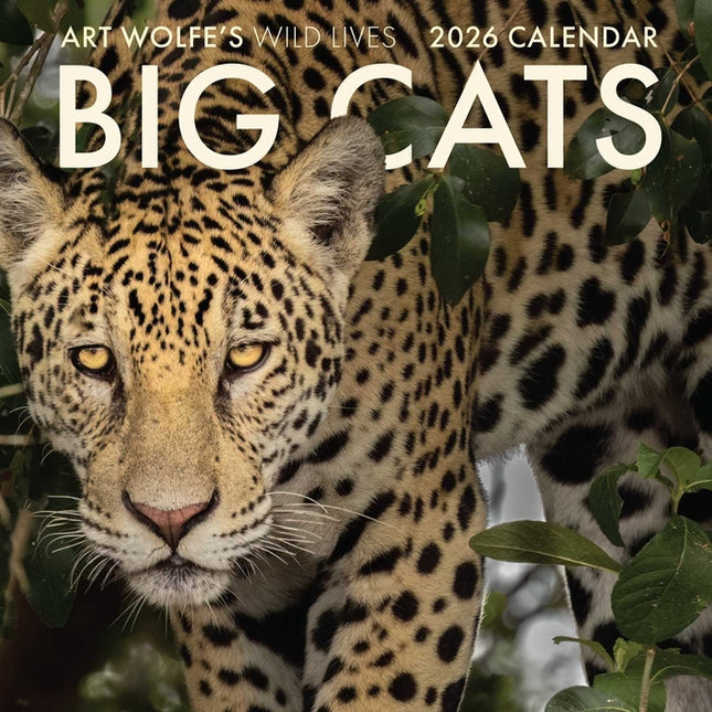 2026 Big Cats Wall Calendar: Art Wolfe's Wild Lives - Ingram