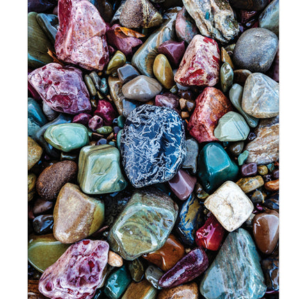 Sierra Club Engagement Calendar 2026 - Ingram