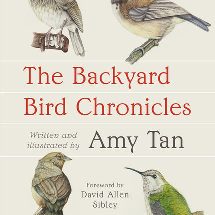 Backyard Bird Chronicles - Ingram