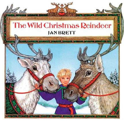 Wild Christmas Reindeer - Ingram