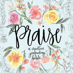 Praise: A Creative Journaling Bible (Skyhorse Stationary) - Ingram