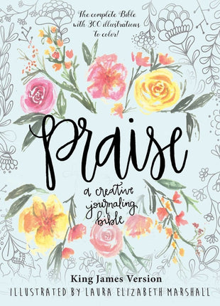 Praise: A Creative Journaling Bible (Skyhorse Stationary) - Ingram