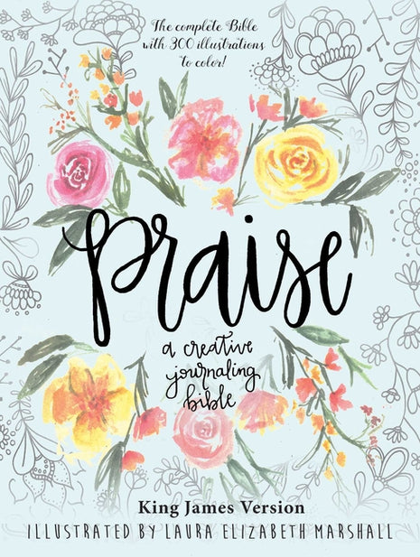 Praise: A Creative Journaling Bible (Skyhorse Stationary) - Ingram