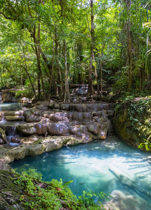 Lush green rainforest with waterfall and clear blue stream, natural jungle habitat symbolizing wildlife themes and freedom in The One and Only Ivan book
