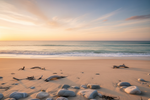 serene beach scene